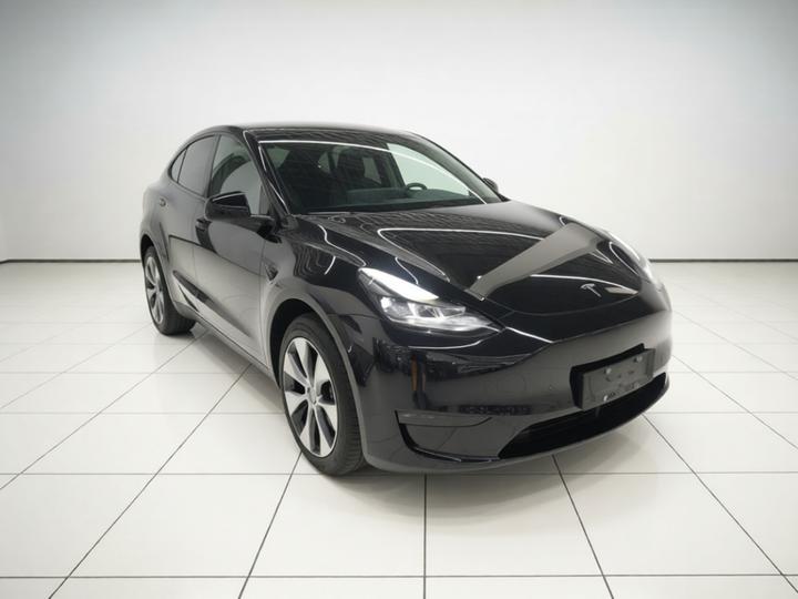 Model Y 2022 Long Range AWD photo 3
