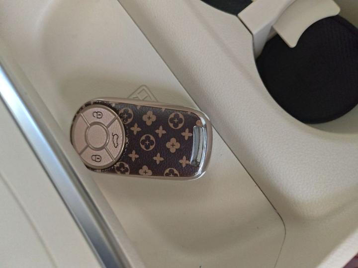 Good Cat 2023 401km Standard Range Luxury LFP photo 8