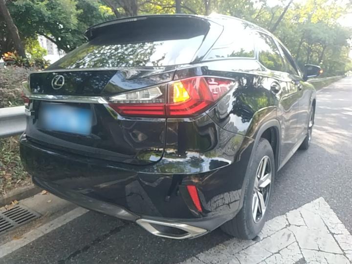 RX 2016 300 RWD Comfort China V photo 6