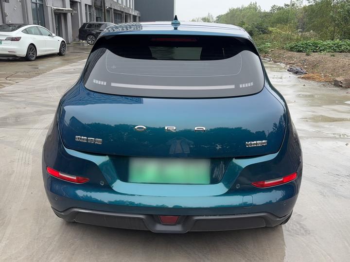 Good Cat 2021 400km Standard Range LFP photo 3
