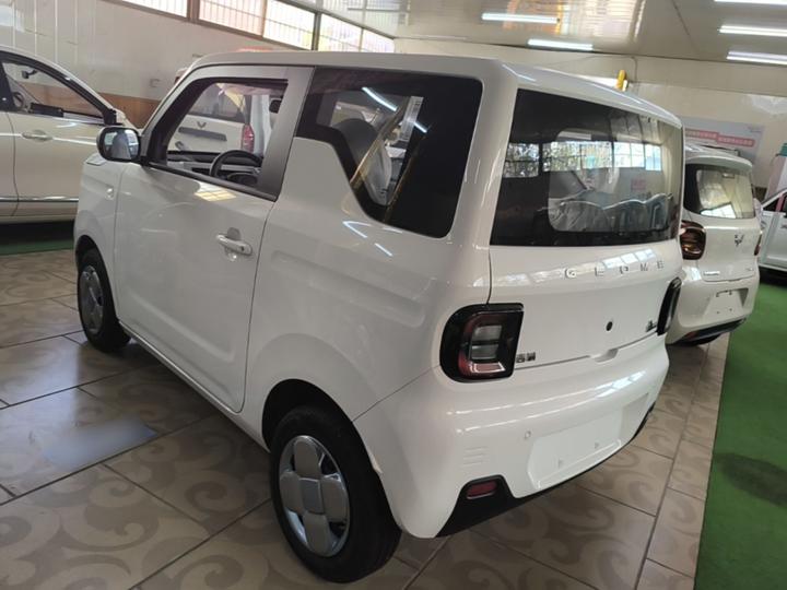 2024 Panda mini 200km Endurance Bear photo 4