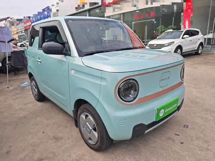 2024 Panda mini 200km Endurance Bear photo 3