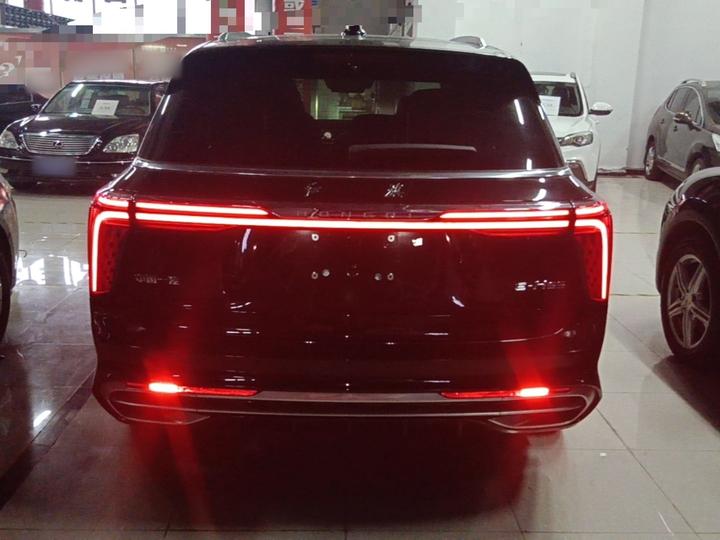 E-HS9 2021 510km 6-Seater photo 3