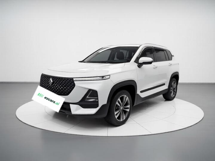 RS-5 2019 1.5T MT-Class Luxury China VI
