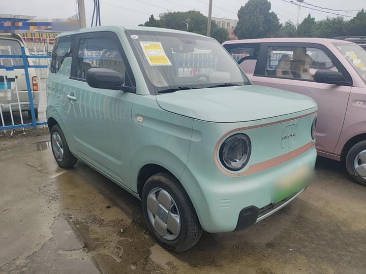 2024 Panda mini 200km Endurance Bear photo 3