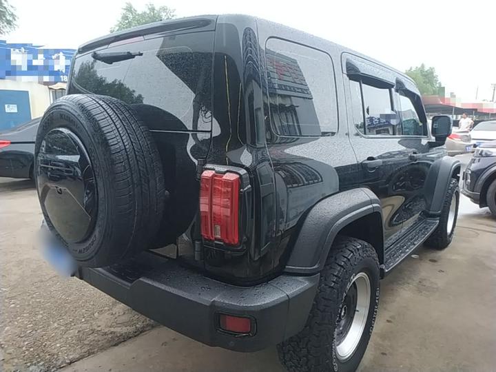 300 2021 Off-road 2.0T photo 4