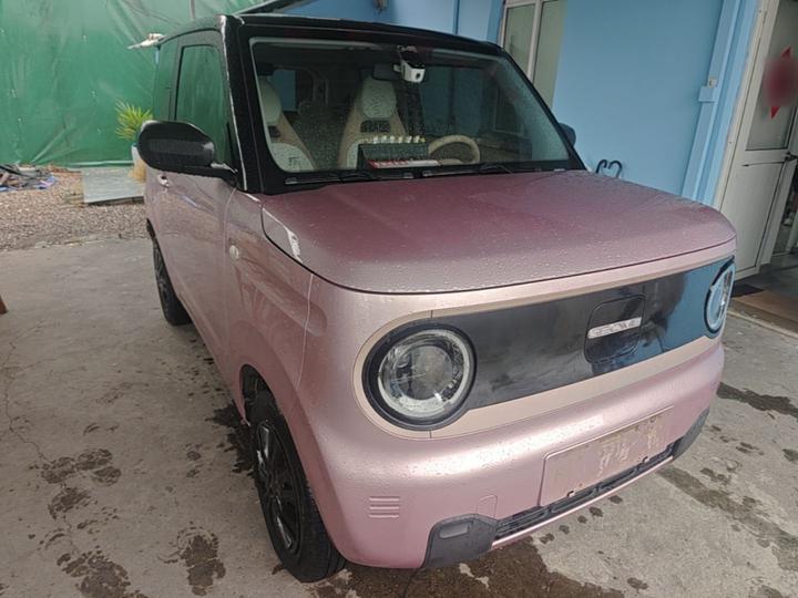 2024 Panda mini 200km Endurance Bear photo 3