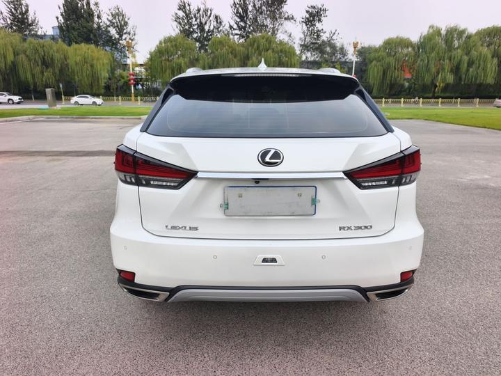 RX 2020 Facelift 300 RWD Comfort photo 4