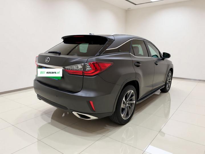 RX 2016 300 AWD Elegant China V photo 6