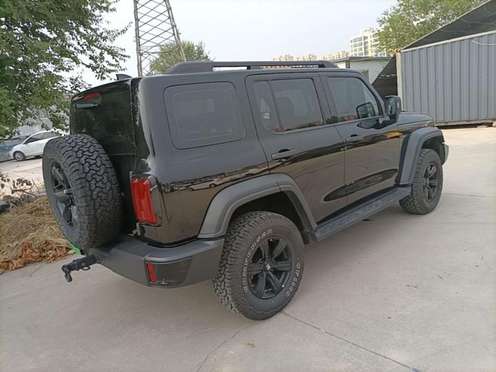 300 2024 2.0T Conqueror photo 4