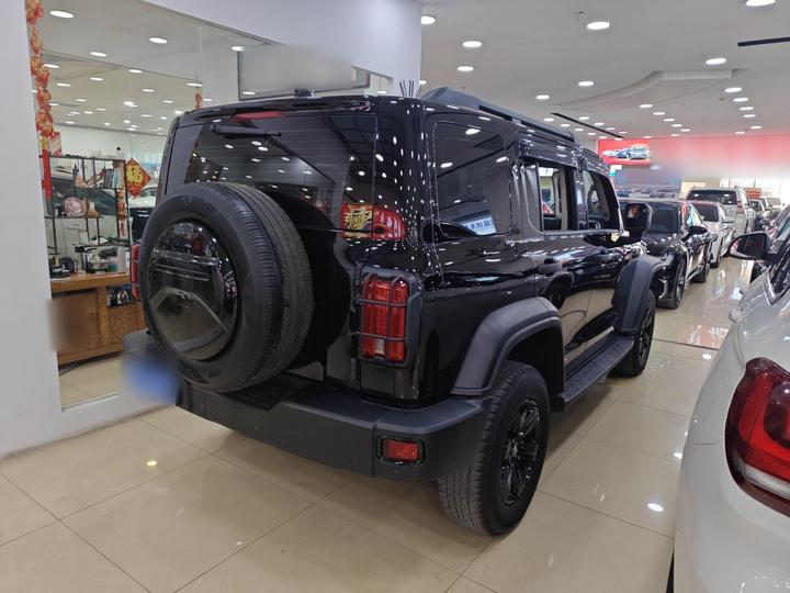 300 2023 Off-road 2.0T Conqueror photo 4