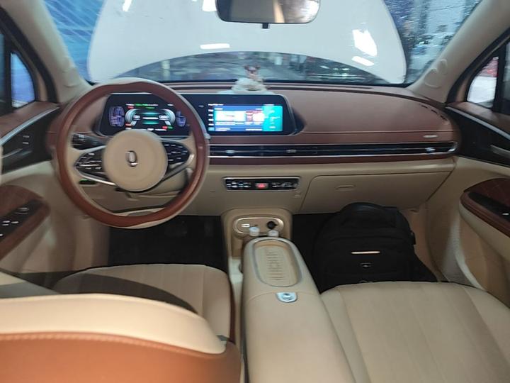 Good Cat 2023 501km Long Range Luxury LFP photo 5