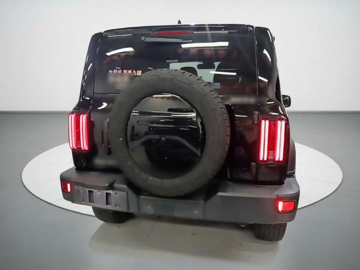 300 2021 Off-road 2.0T photo 5