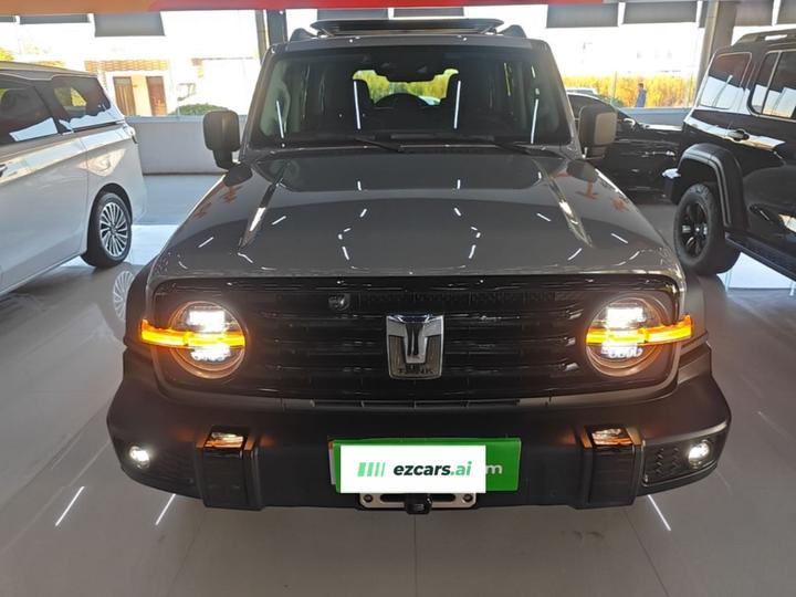 300 2021 Off-road 2.0T Conqueror photo 2