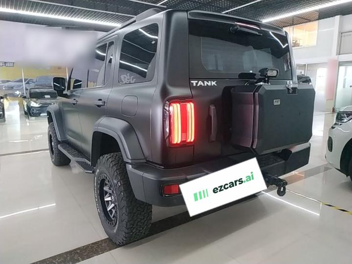 300 2021 Off-road 2.0T Conqueror photo 4