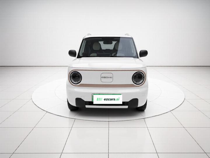 2024 Panda mini 200km Endurance Bear photo 2