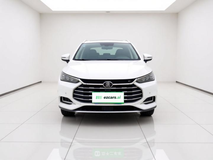 Tang 2018 2.0T AT Connected Premium 7-Seater China V photo 3
