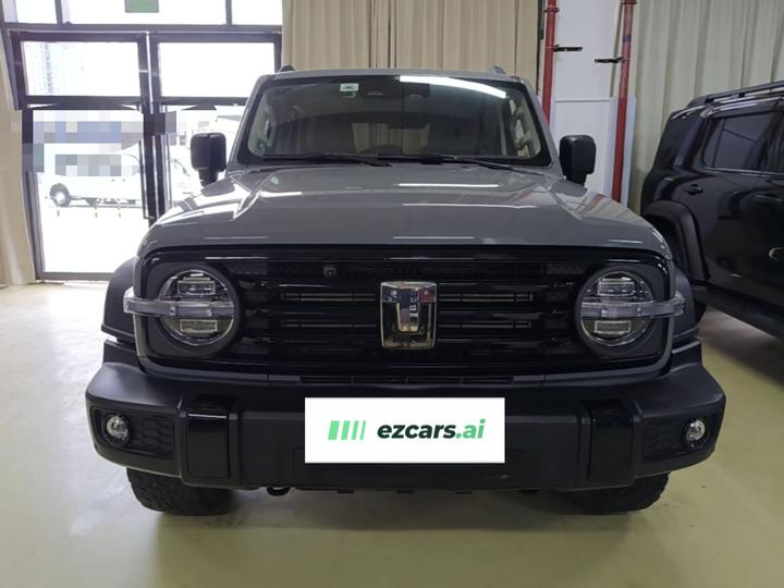 300 2023 Off-road 2.0T Conqueror photo 2