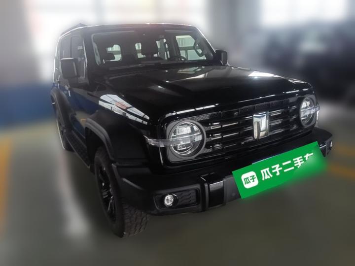 300 2025 2.0T Petrol photo 3
