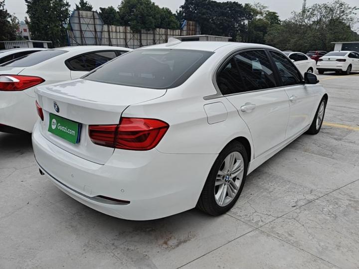 3 Series 2018 318Li photo 6