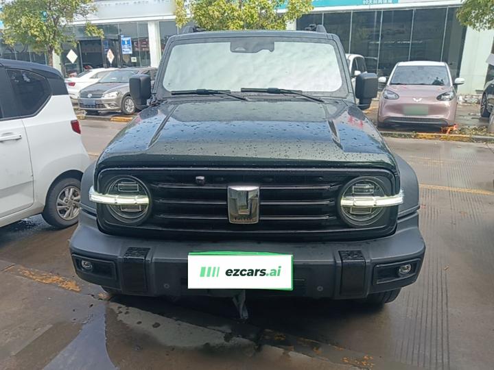 300 2021 Off-road 2.0T Conqueror photo 2