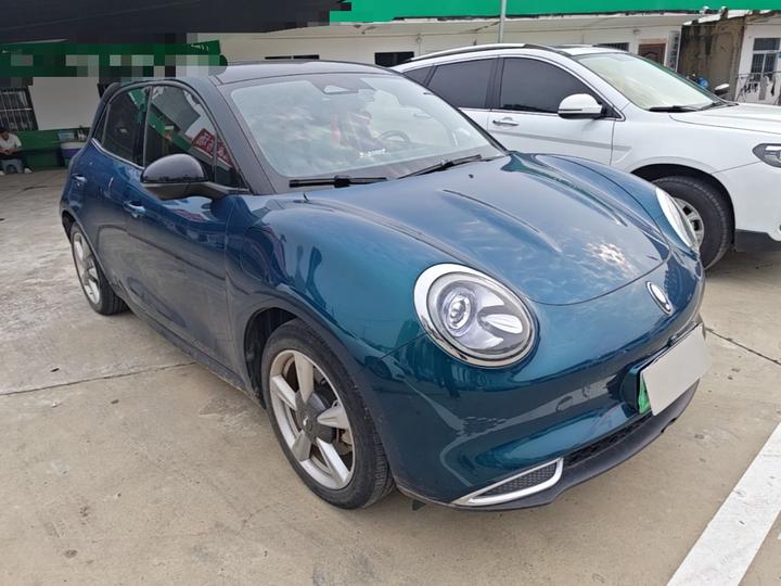 Good Cat 2021 400km Standard Range LFP photo 3