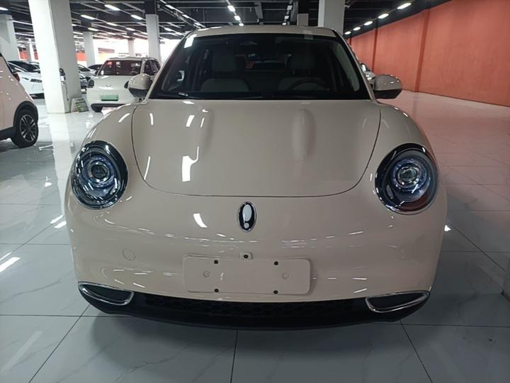 Good Cat 2024 401km Luxury photo 2