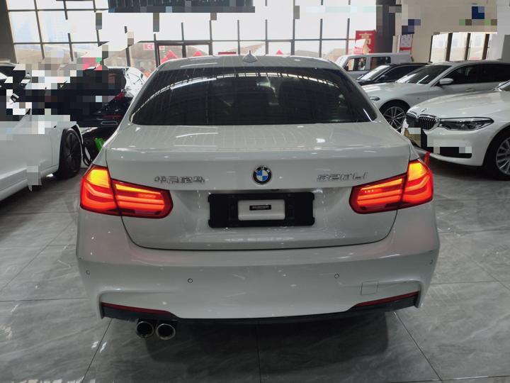 3 Series 2019 320Li M Luxury photo 3