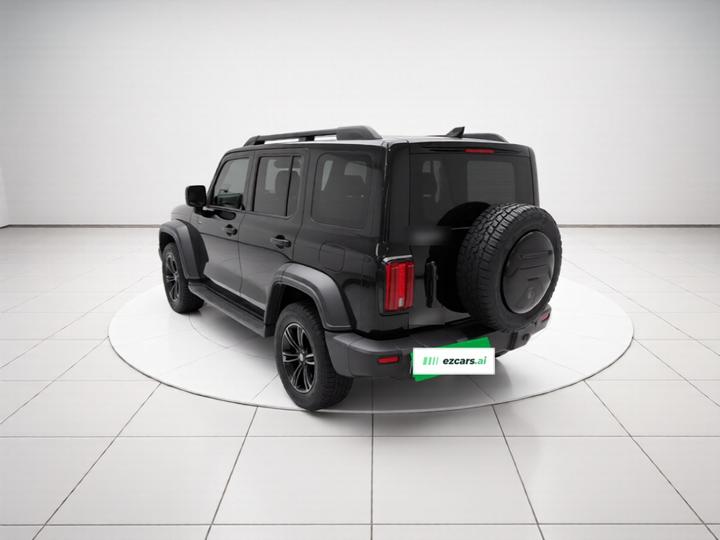 300 2021 Off-road 2.0T Conqueror photo 4
