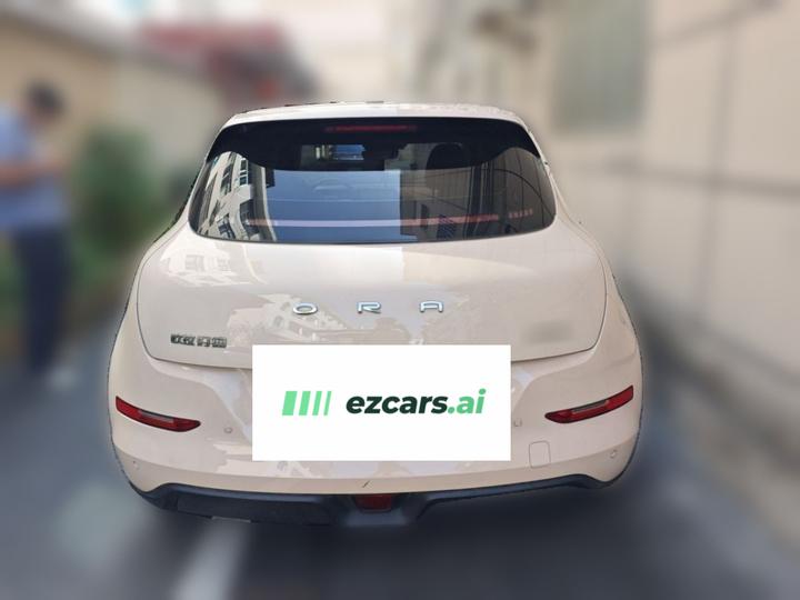 Good Cat 2021 400km Standard Range LFP photo 5