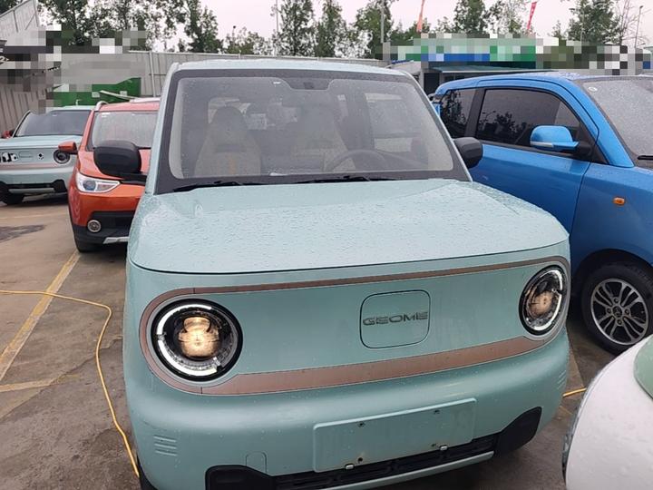 2023 Panda mini 200km Endurance Bear photo 2
