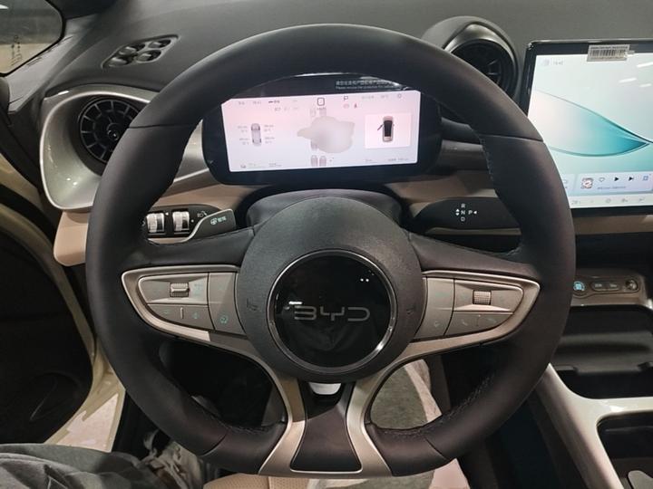 Dolphin 2025 ADAS 420km photo 6