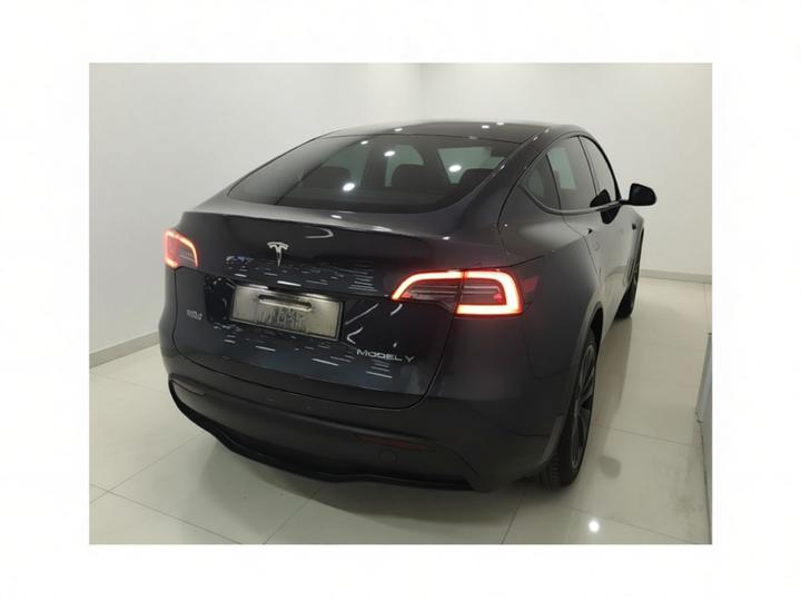 Model Y 2024 Long Range AWD photo 4