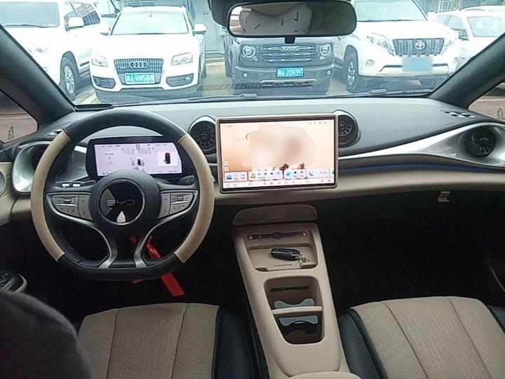 Dolphin 2025 ADAS 410km Fashion photo 6