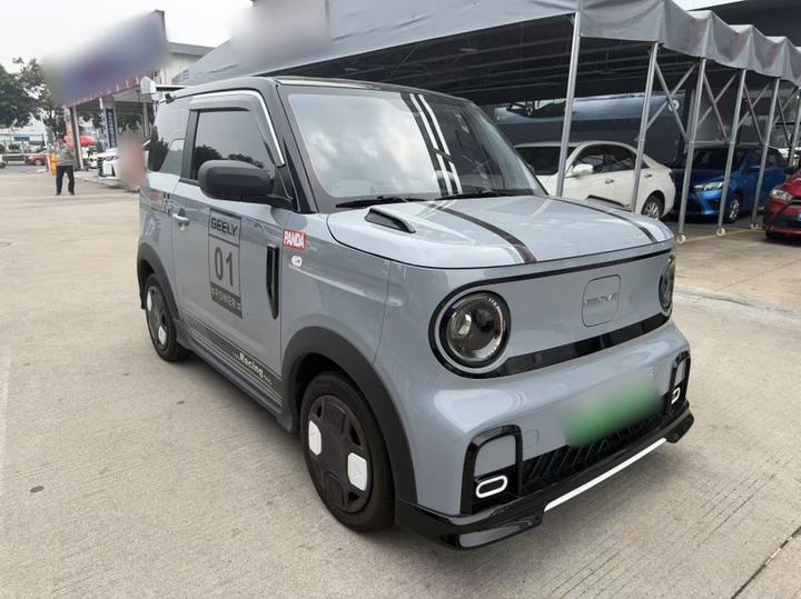 2025 210km Panda photo 3