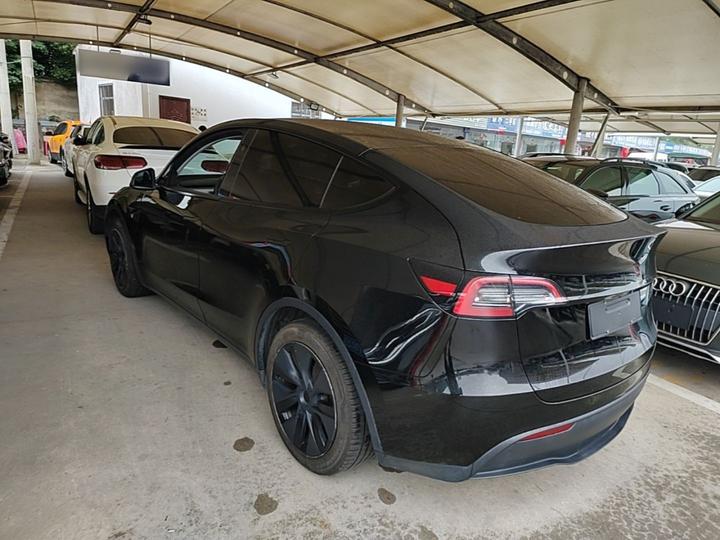 Model Y 2024 RWD photo 4