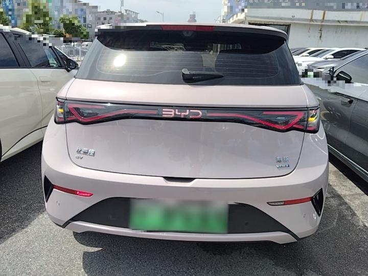 Dolphin 2025 ADAS 410km Fashion photo 3