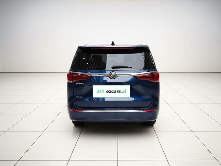 GL8 2020 Avenir 4-Seater photo 5