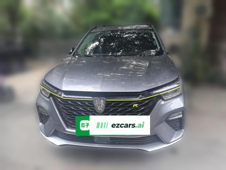RX5 EV 2020 ePLUS Flagship photo 2