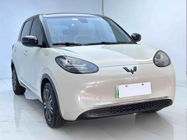 Wuling Bingo 2023 410km Exclusive photo 3