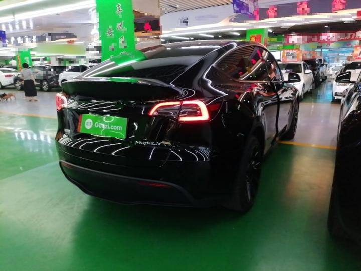 Model Y 2023 Long Range AWD photo 4