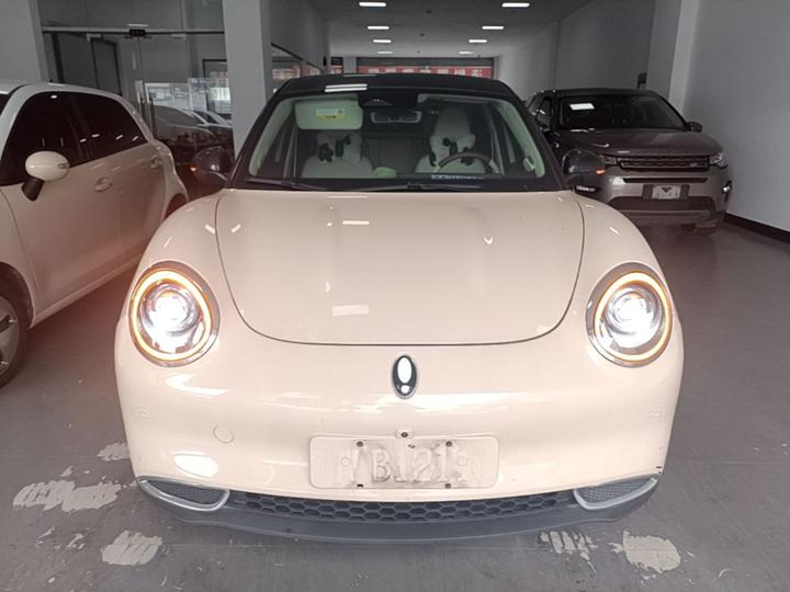 Good Cat 2022 400km Standard Range Premium LFP photo 2