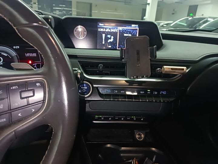 UX EV 2020 300e photo 8