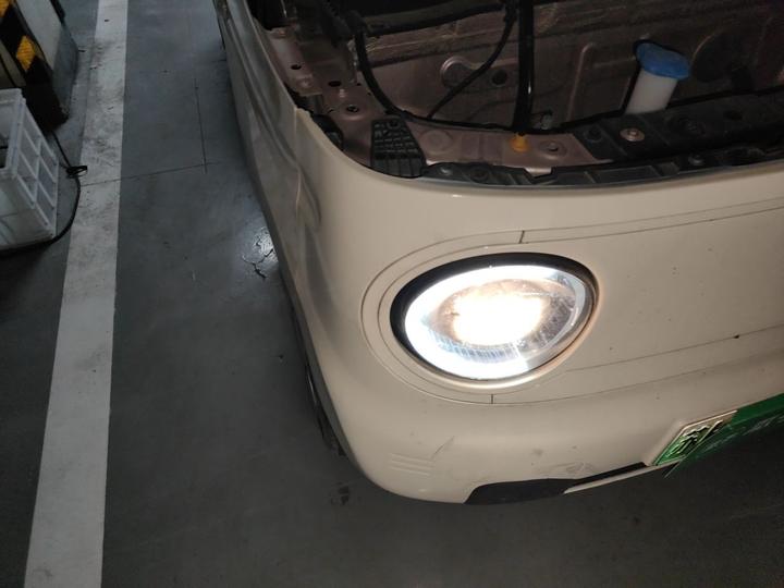 2023 Panda mini 200km Endurance Bear photo 7