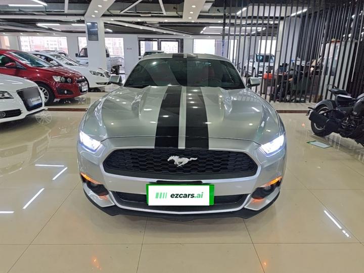 Mustang Parallel Import photo 2