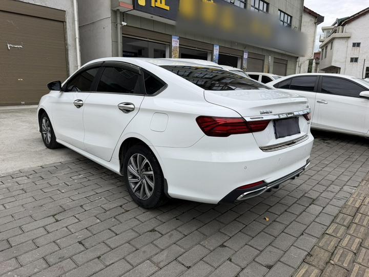 Binrui 2019 200T MT photo 4