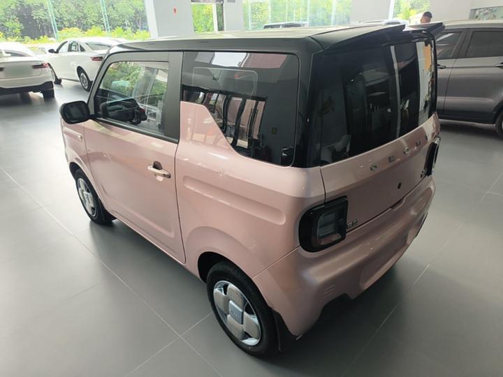 2023 Panda mini 200km Endurance Bear photo 4