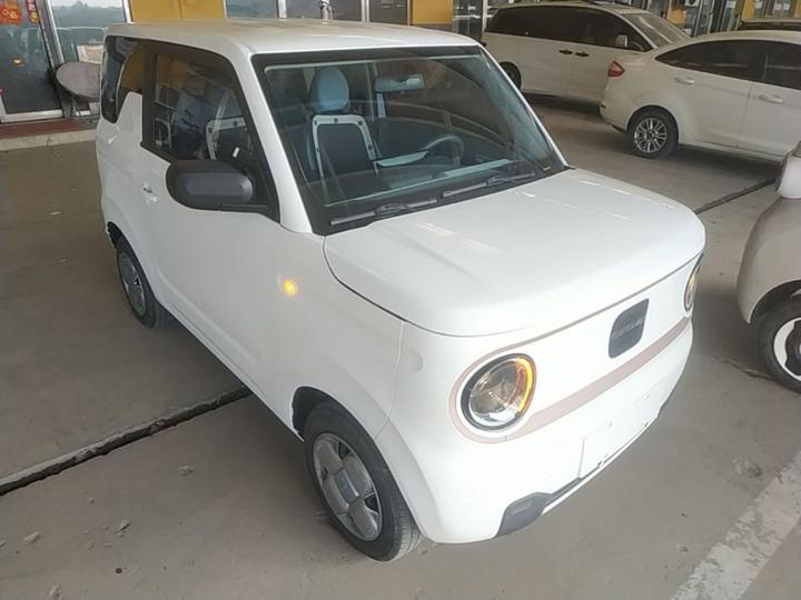 2023 Panda mini 200km Endurance Bear photo 3