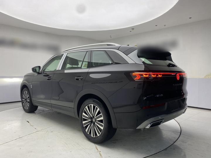 2026 330TSI Luxury photo 4