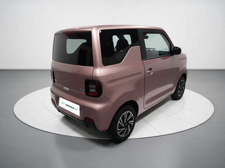 2023 Panda mini 200km Endurance Bear photo 6
